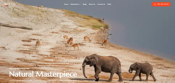 Koggs Adventures – Tours & Travel Booking Website for East African Safaris